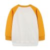 Baby Boy Cartoon Dinosaur Pattern Color Matching Design Cotton Hoodie