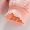 Baby Girl Strawberries Pattern Mesh Overlay Design Beautiful Dress